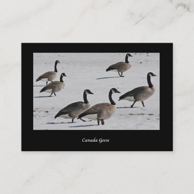 Canada Geese ATC Business Card (Front)