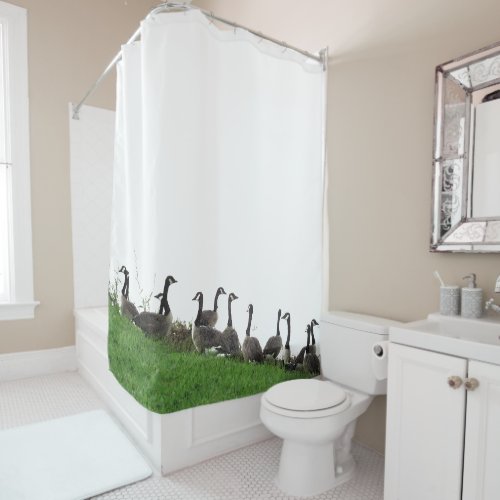 Canada Geese Birds Wildlife Animals Shower Curtain