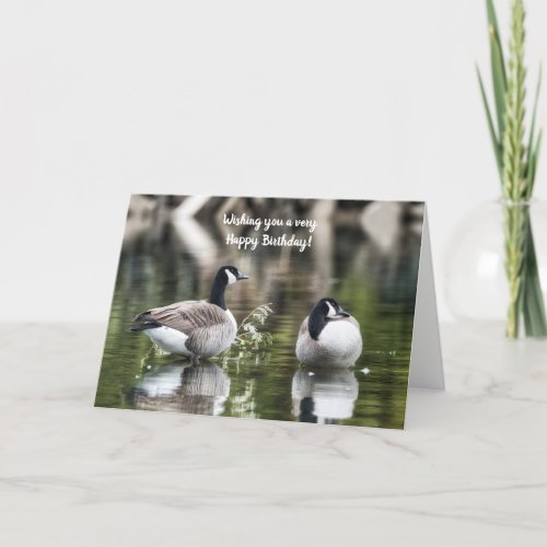 Canada Geese Birthday Card