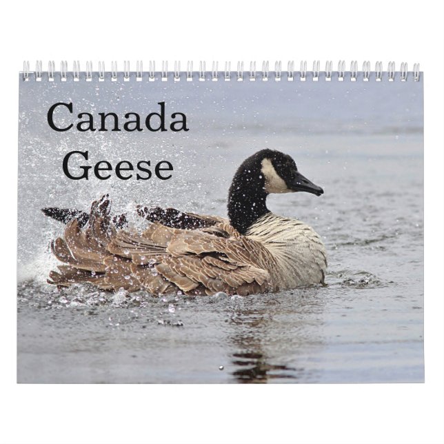 Canada Geese Calendar (Cover)