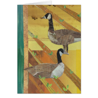 Canada Geese Cards