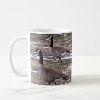 Canada Geese Coffee Mug by abadu44 at Zazzle
