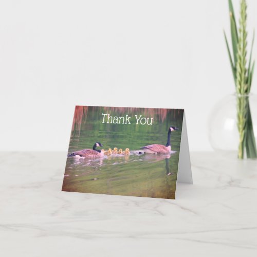 Canada Geese Family Nature Thank You Card