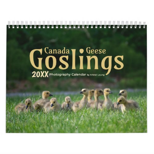 Canada Geese Goslings Calendar