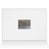 Canada Geese Happy Anniversary Card (Inside Horizontal (Top))