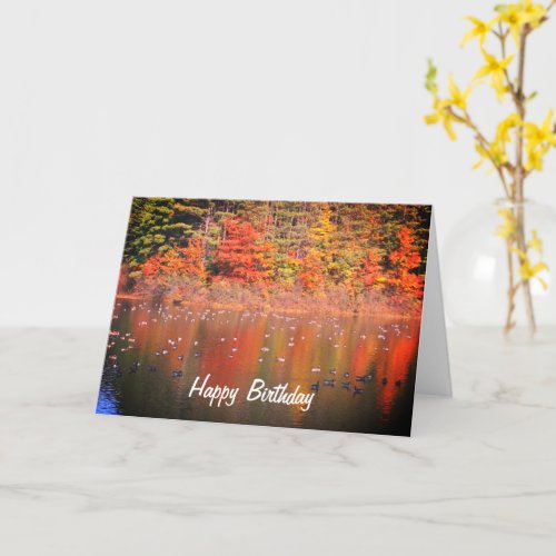 Canada Geese In Autumn Nature Birthday  Card