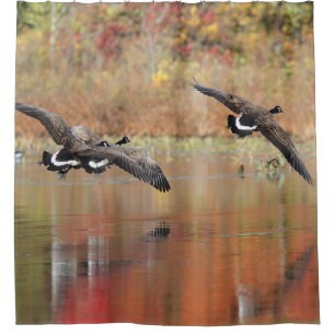 Canada Geese in Flight Shower Curtain