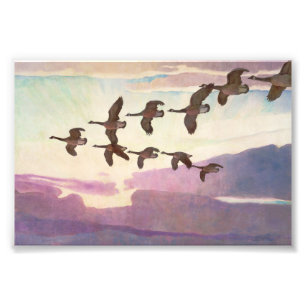 Canada Geese in Spring by Newell Convers Wyeth Photo Print
