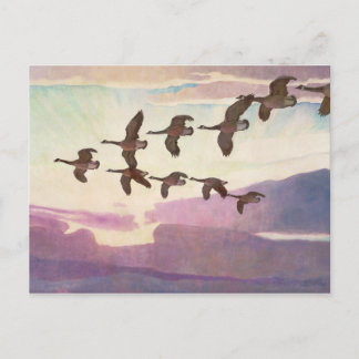 Canada Geese in Spring by Newell Convers Wyeth Postcard