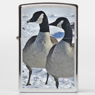 Canada Geese in the Winter Lighter