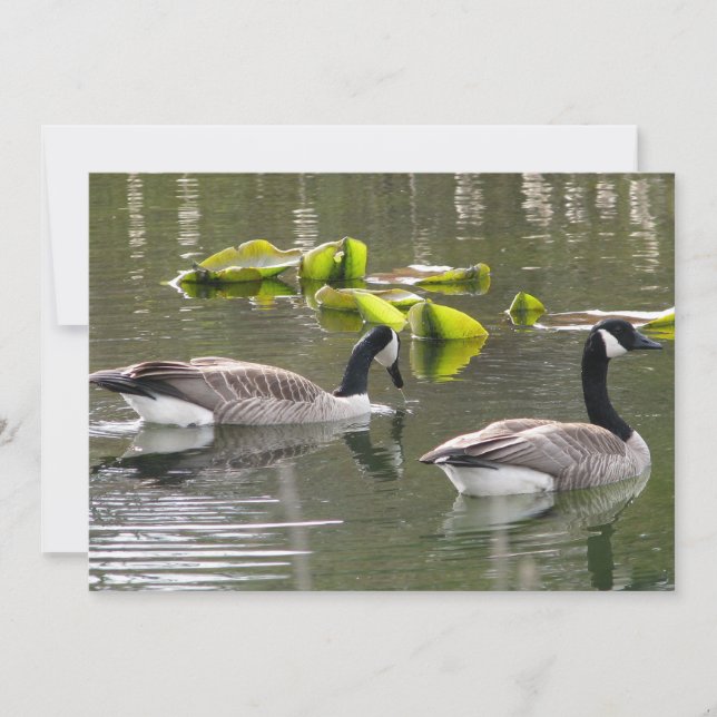 Canada Geese Invitation (Front)