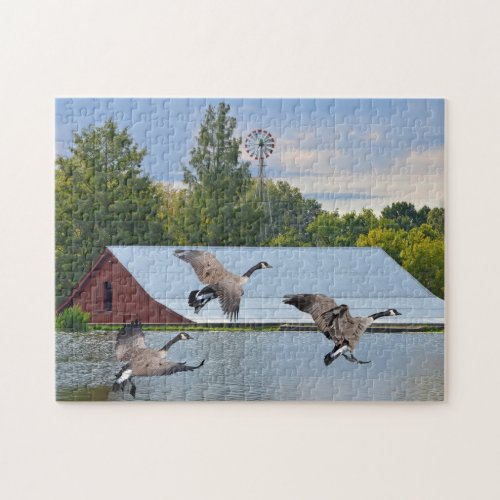 Canada Geese Landing On The Pond Jigsaw Puzzle