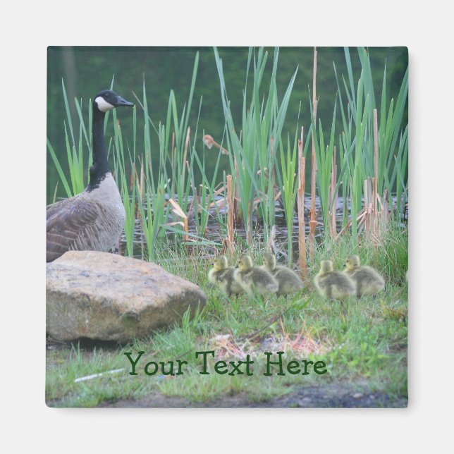 Canada Geese Mom Babies Nature Photo Magnet (Front)