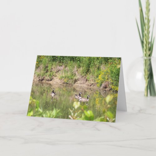 Canada Geese on Pond Card