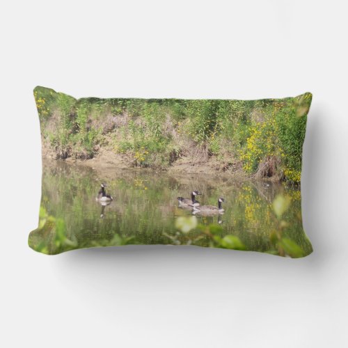 Canada Geese on Pond Pillow