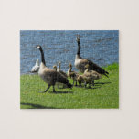 [ Thumbnail: Canada Geese On The Grass by The Water Jigsaw Puzzle ]