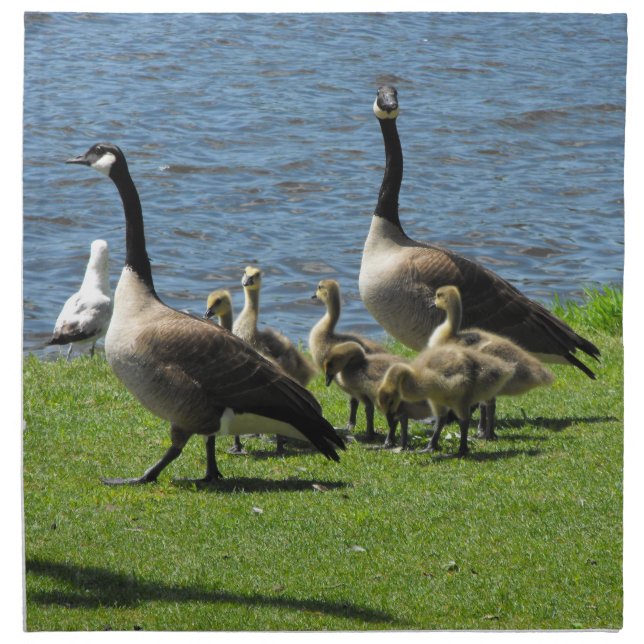 Canada Geese on the Grass by the Water Napkin (Front)