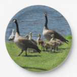 [ Thumbnail: Canada Geese On The Grass by The Water Paper Plate ]