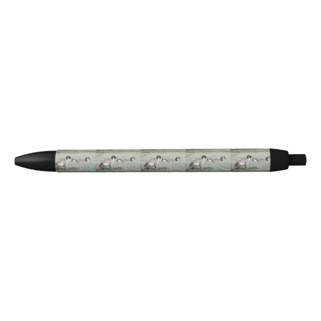 Canada Geese pair in algae covered swampy pond Pen (Front)