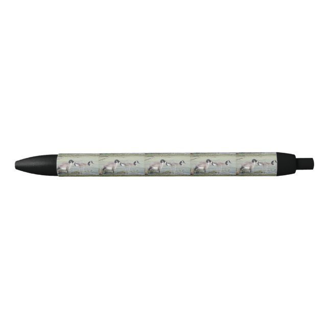 Canada Geese pair in algae covered swampy pond Pen (Front)