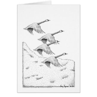 Canada Geese Pen and Ink