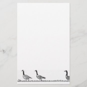 Canada Geese Stationery by glorykmurphy at Zazzle