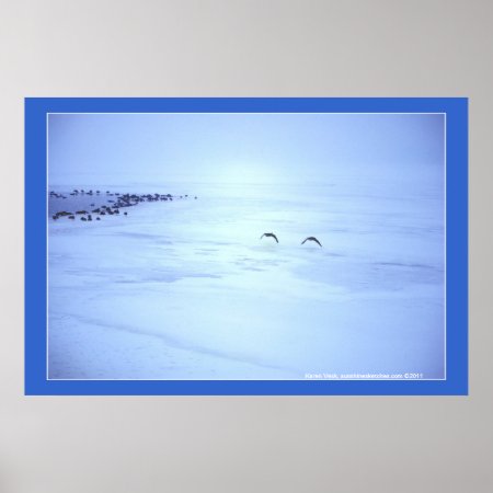 Canada Geese Winter Landscape Photo Poster