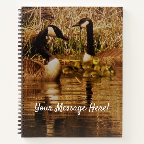 Canada Geese with Cute Babies Goslings Nature Notebook