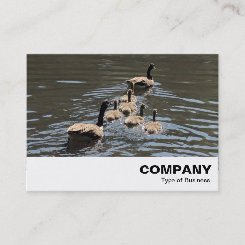 Canada Geese with Goslings Business Card