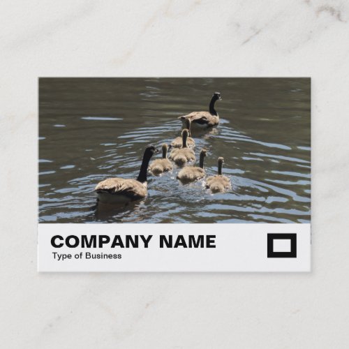Canada Geese with Goslings Business Card