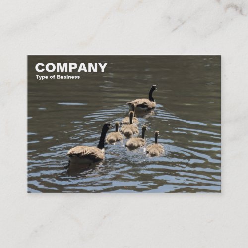 Canada Geese with Goslings Business Card