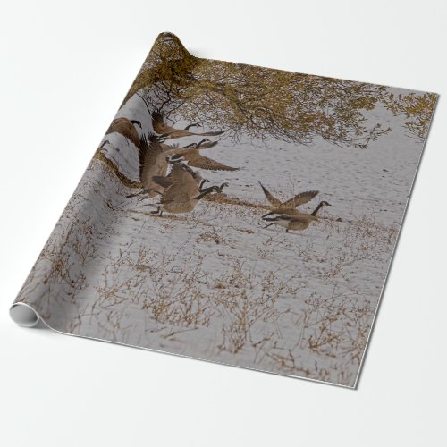 CANADA GEESE WRAPPING PAPER
