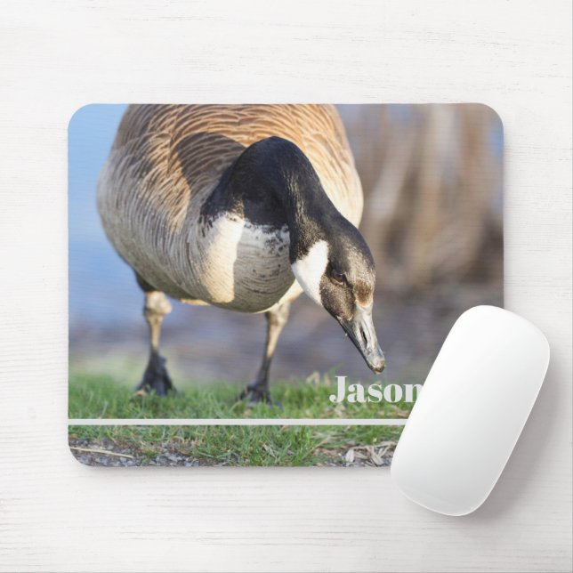 Canada Goos Mouse Pad (With Mouse)