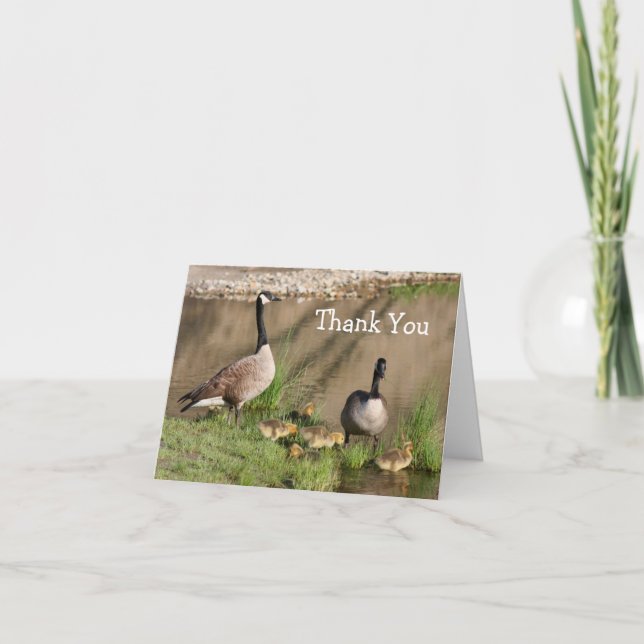 Canada Goose 2 Family Nature Thank You Card (Front)