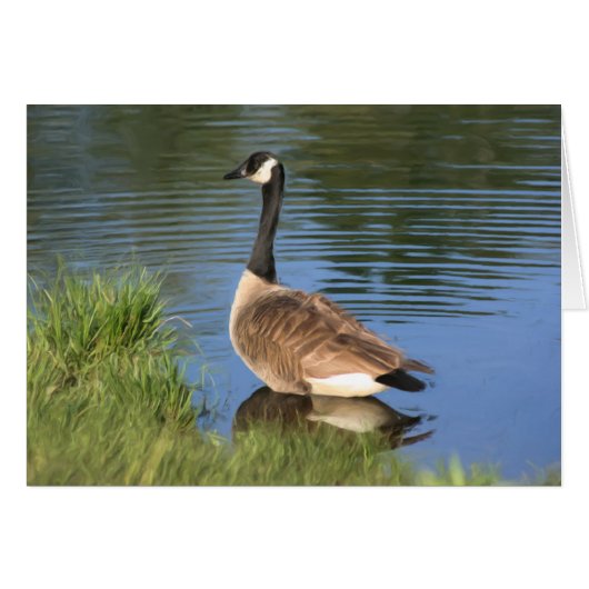 Canada Goose Animal Art Card (Front Horizontal)