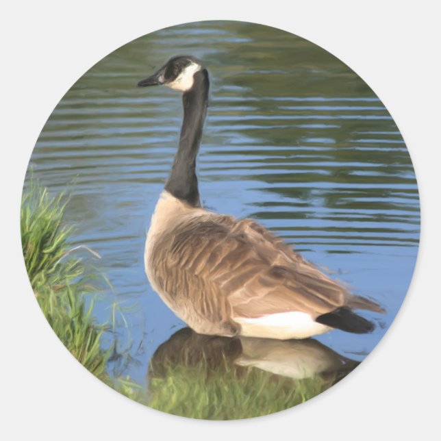 Canada Goose Animal Art  Classic Round Sticker (Front)