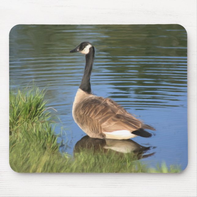Canada Goose Animal Art  Mouse Pad (Front)