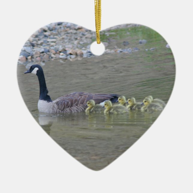 Canada Goose Babies 3 Animal Ornament (Front)