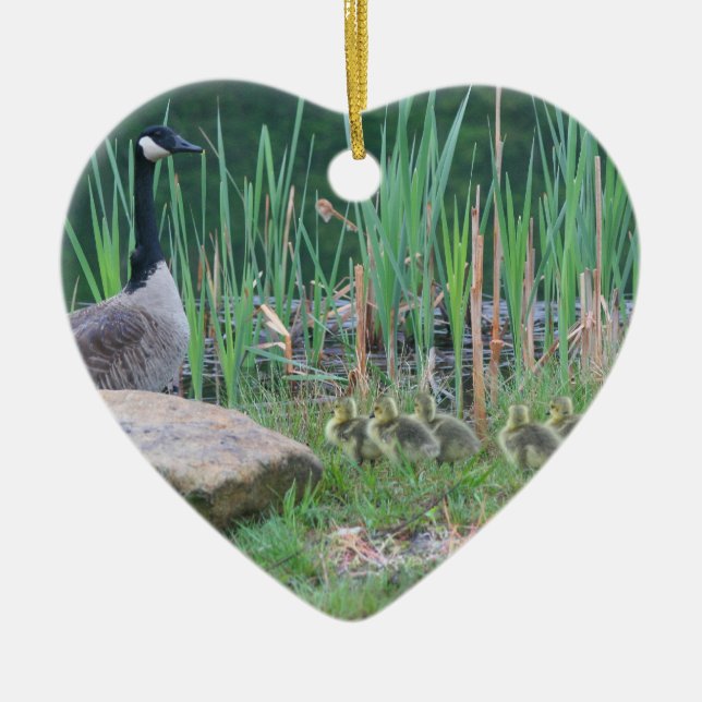 Canada Goose Babies Animal Ornament (Front)