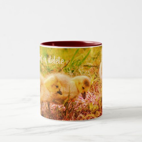 Canada Goose Babies Nature Art Personalized  Two_Tone Coffee Mug