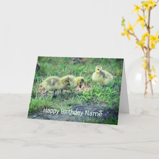 Canada Goose Babies Nature Birthday Card (Yellow Flower)