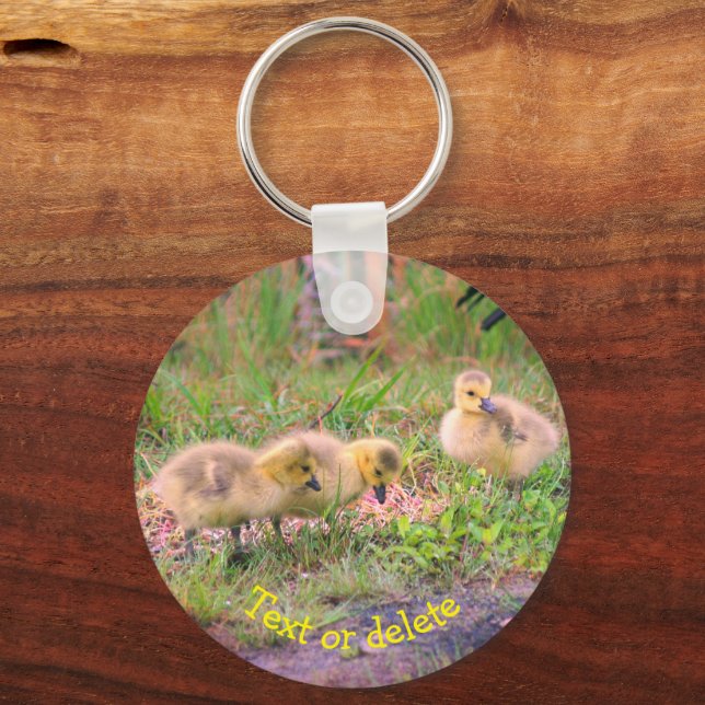 Canada Goose Babies Nature Personalized Keychain (Front)