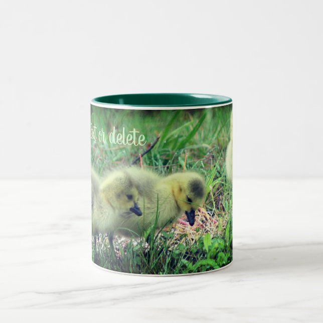 Canada Goose Babies Wildlife Personalized Two-Tone Coffee Mug (Center)