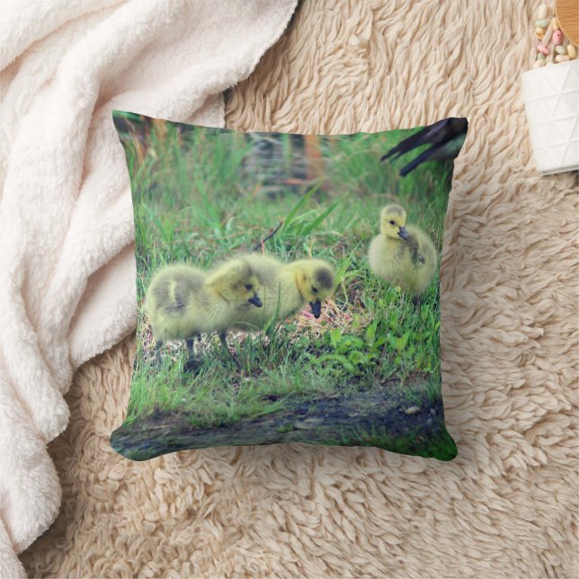 Canada Goose Babies Wildlife   Throw Pillow (Blanket)