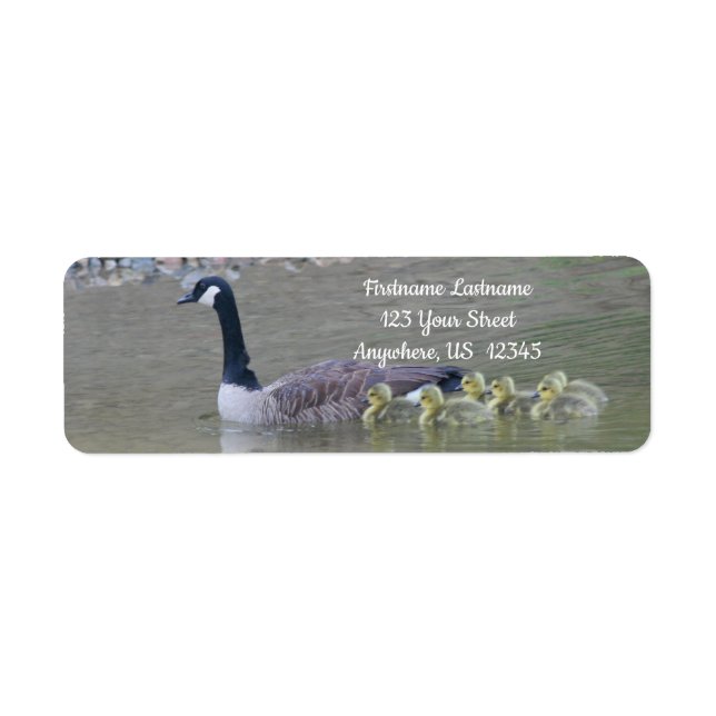 Canada Goose Babies With Mom Animal Address Label (Front)
