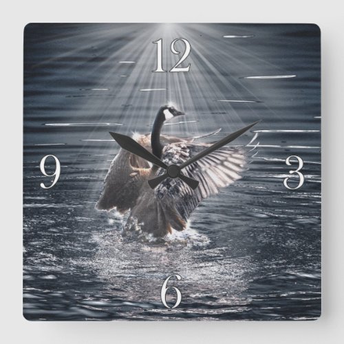 Canada Goose Bathing in a Lake Art Design Square Wall Clock