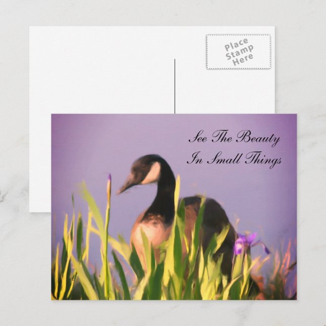 Canada Goose Beauty Inspirational  Postcard (Front/Back)