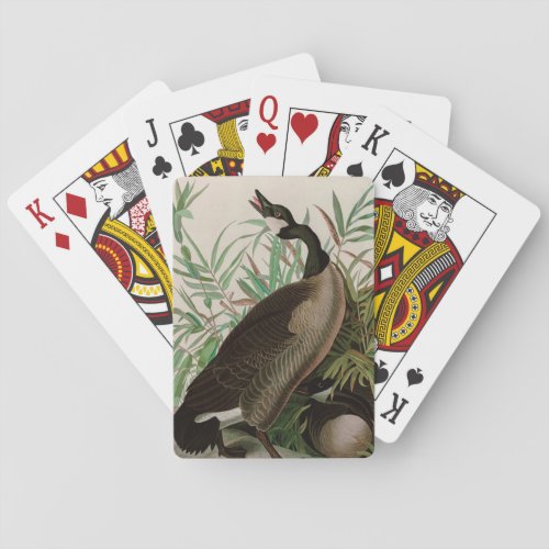 Canada Goose Birds of America Audubon Print Playing Cards