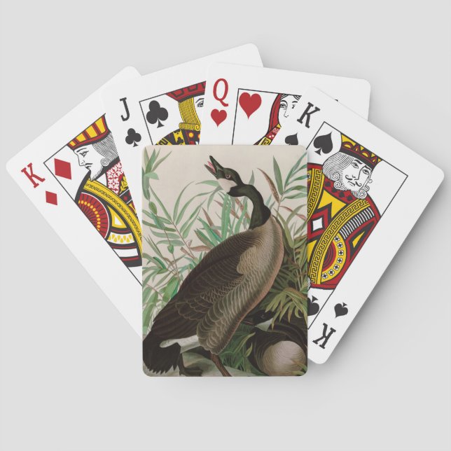Canada Goose Birds of America Audubon Print Poker Cards (Back)