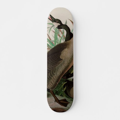 Canada Goose Birds of America Audubon Print Skateboard